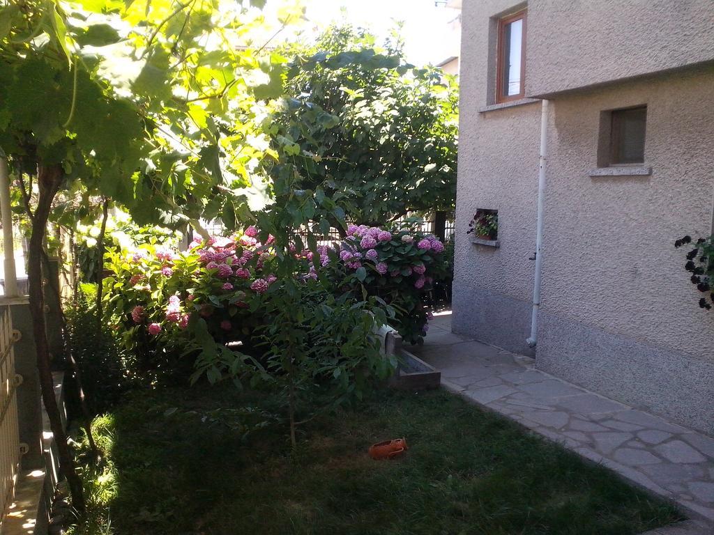 Guest House Krasi Černomorec Exterior foto